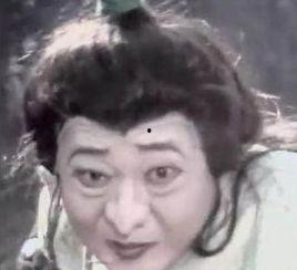 精细鬼伶俐虫图片,揭秘神秘生物的智慧之谜