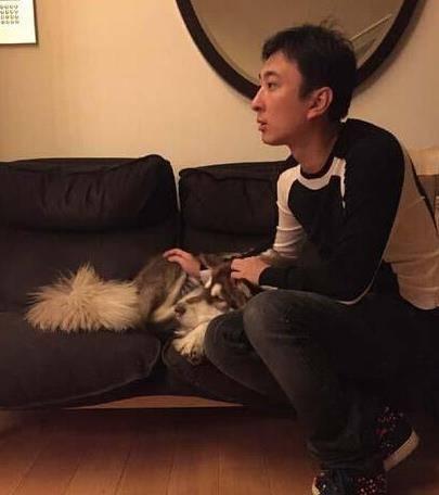 娱乐圈养狗明星,狗狗们的明星生活