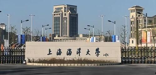 上海海事大学图片,海港明珠的校园风采