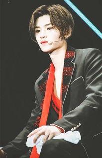 七子成员资料背景介绍