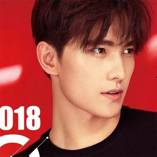 杨洋代言图片,时尚魅力，引领潮流风尚